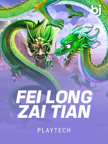 Fei Long Zai Tian game icon